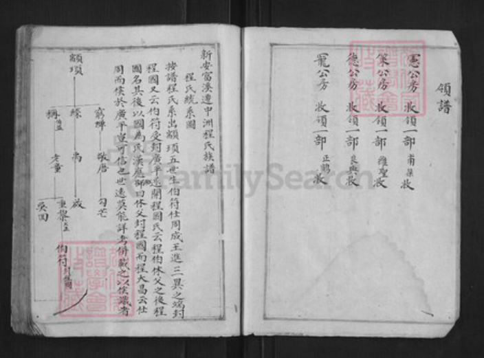 浙江省杭州市淳安县县程氏族谱-中洲程氏性宗公房草谱[不分卷].pdf电子版插图4