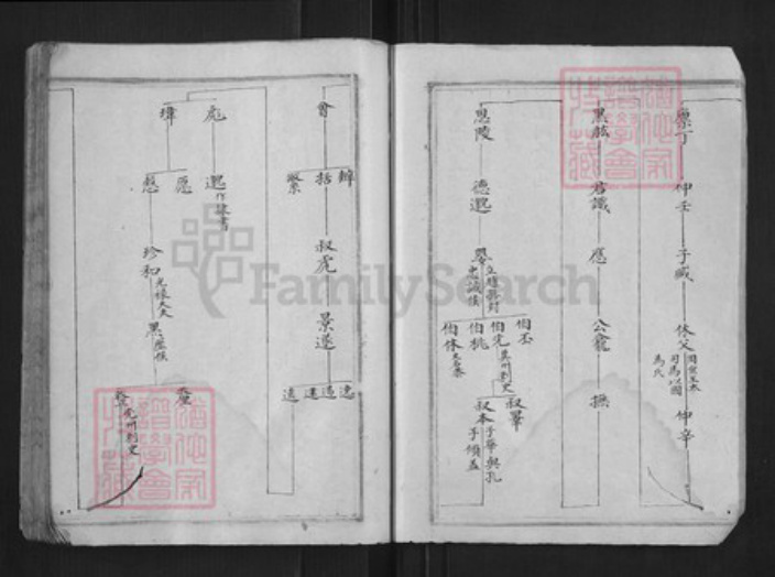 浙江省杭州市淳安县县程氏族谱-中洲程氏性宗公房草谱[不分卷].pdf电子版插图5