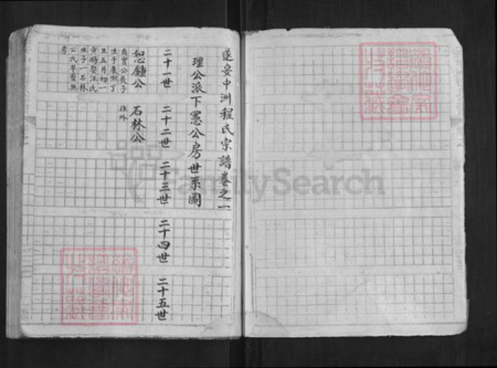浙江省杭州市淳安县县程氏族谱-中洲程氏性宗公房草谱[不分卷].pdf电子版插图2
