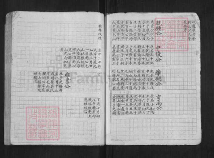 浙江省杭州市淳安县县程氏族谱-中洲程氏性宗公房草谱[不分卷].pdf电子版插图4