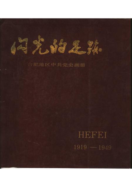 1988版闪光的足迹  合肥地区中共党史画册.pdf电子版_安徽省志