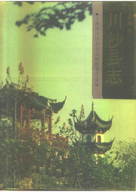 1990-上海市川沙县志.pdf电子版_上海市志