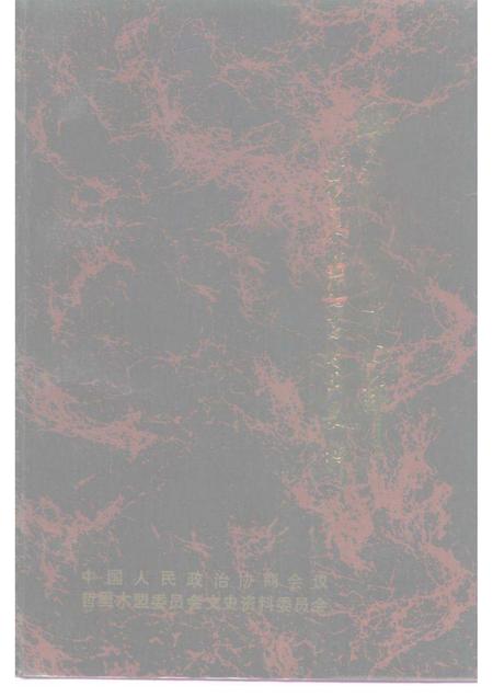 1990-哲里木盟文史资料  第4辑  血雨腥风十四年  哲里木盟伪满时期史料.pdf电子版_内蒙古志