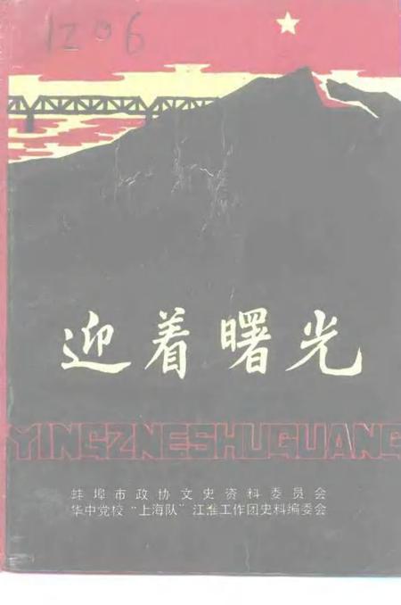 1992版蚌埠文史资料选辑  总第14辑  迎着曙光.pdf电子版_安徽省志