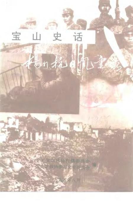 1995-宝山史话  杨行抗日风云录.pdf电子版_上海市志