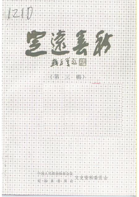 1995版定远春秋  第3辑.pdf电子版_安徽省志