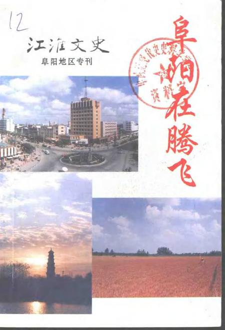 1995版江淮文史  阜阳在腾飞.pdf电子版_安徽省志