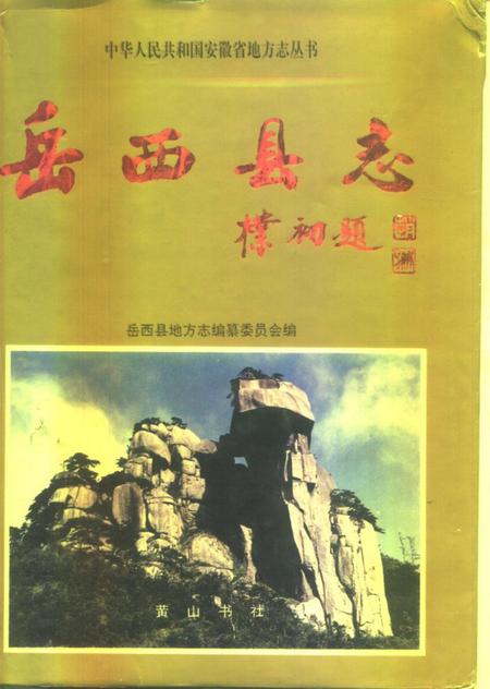 1996版岳西县志.pdf电子版_安徽省志