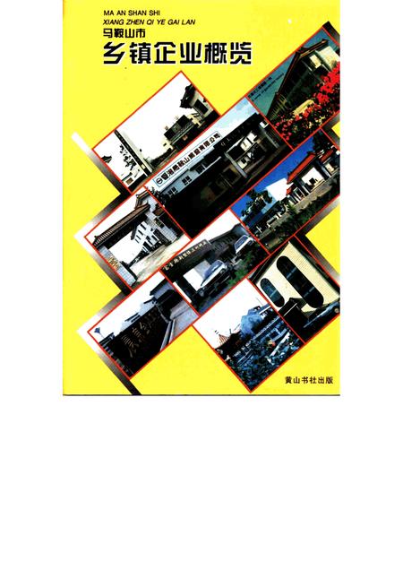 1996版马鞍山市乡镇企业概览.pdf电子版_安徽省志