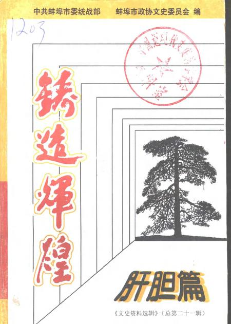 1998版蚌埠文史资料选辑  铸造辉煌  肝胆篇.pdf电子版_安徽省志