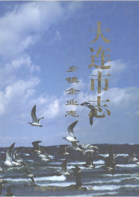 1999-大连市志  乡镇企业志.pdf电子版_辽宁省志