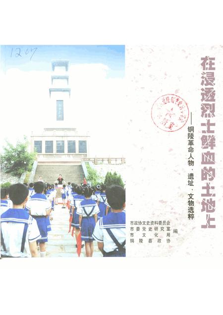 2001版在浸透烈士鲜血的土地上-铜陵革命人物、遗址、文物选粹.pdf电子版_安徽省志