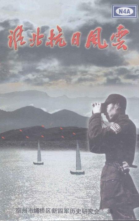 2001版淮北抗日风云.pdf电子版_安徽省志