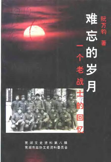 2001版芜湖文史资料  第8辑  难忘的岁月  一个老战士的回忆.pdf电子版_安徽省志