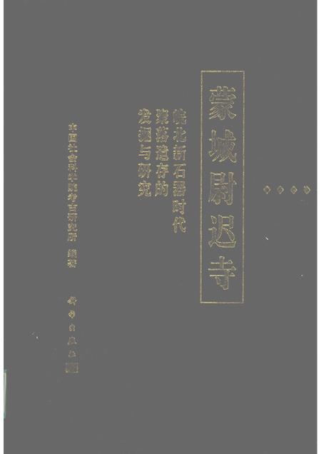 2001版蒙城尉迟寺  皖北新石器时代聚落遗存的发掘与研究.pdf电子版_安徽省志
