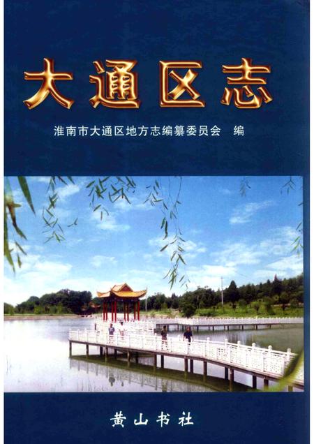 2002版大通区志.pdf电子版_安徽省志