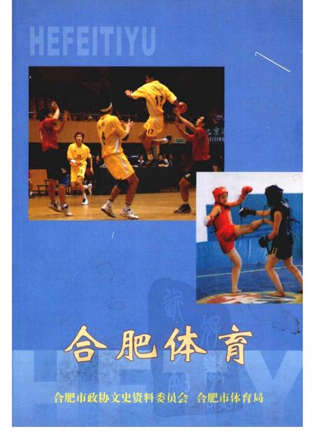 2004版合肥体育.pdf电子版_安徽省志