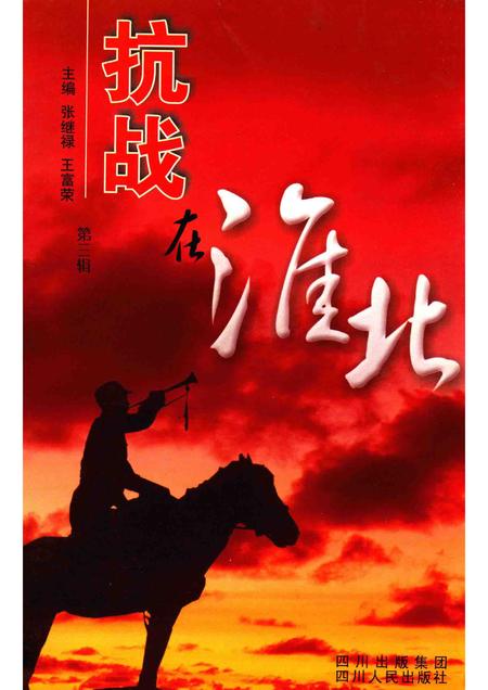 2004版抗战在淮北  第3辑.pdf电子版_安徽省志