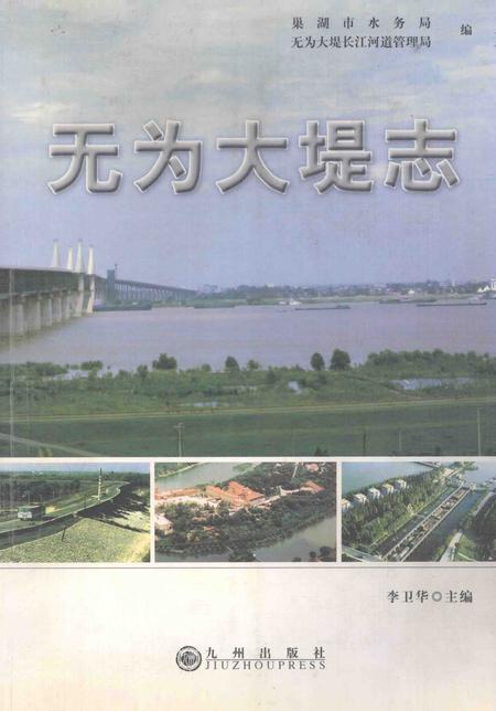 2005版无为大堤志.pdf电子版_安徽省志