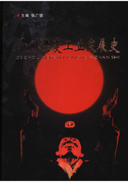 2006-泽州煤炭工业发展史.pdf电子版_山西省志