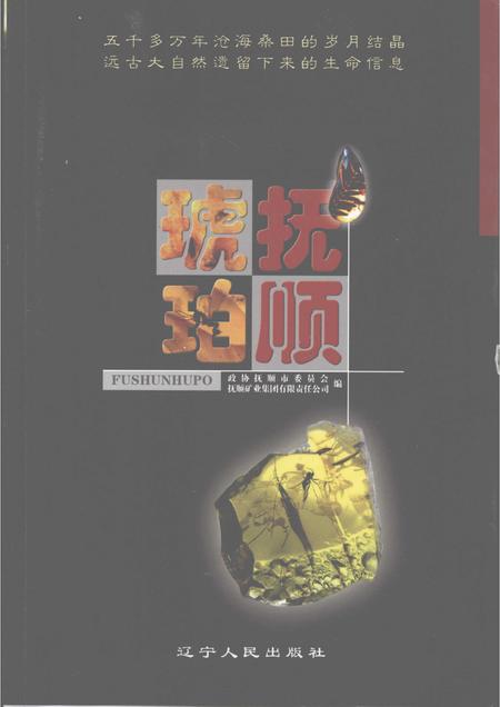 2007-抚顺琥珀.pdf电子版_辽宁省志