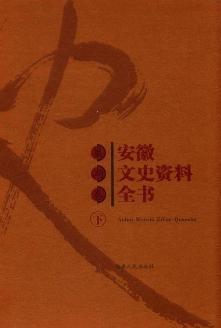 2007版安徽文史资料全书  巢湖卷下.pdf电子版_安徽省志