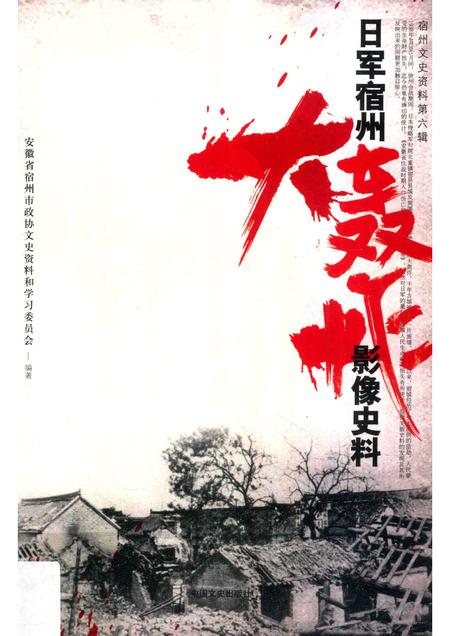 2015版宿州文史资料  日军宿州大轰炸影像史料.pdf电子版_安徽省志