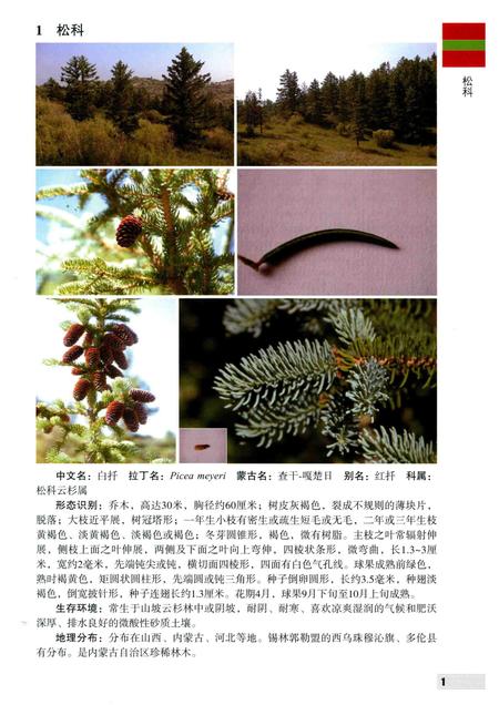 2016-内蒙古自治区锡林郭勒盟木本植物图鉴.pdf电子版_内蒙古志