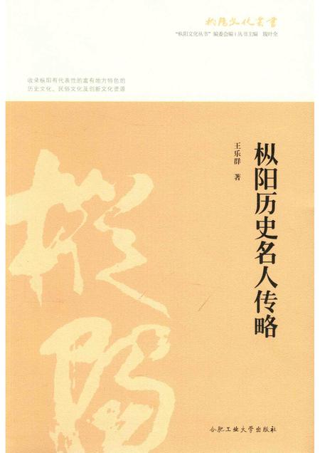 2017版枞阳历史名人传略.pdf电子版_安徽省志
