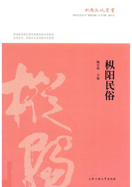 2017版枞阳民俗.pdf电子版_安徽省志