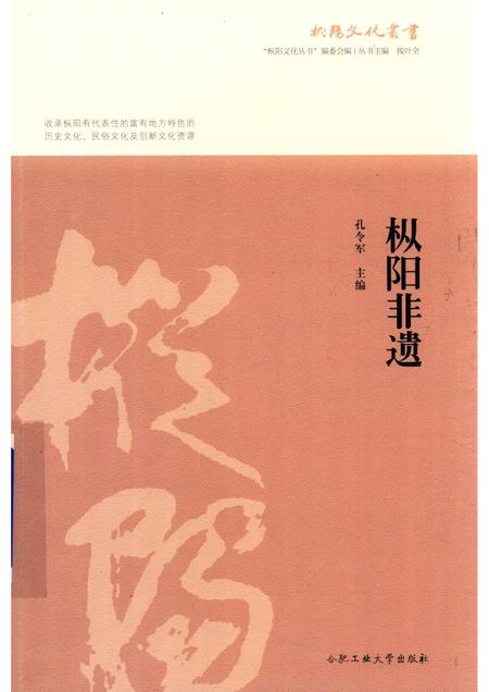 2017版枞阳非遗.pdf电子版_安徽省志
