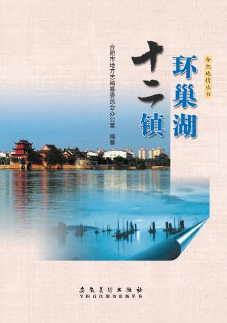 2017版环巢湖十二镇.pdf电子版_安徽省志