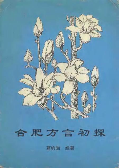 合肥方言初探.pdf电子版_安徽省志