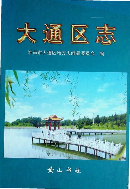 大通区志.pdf电子版_安徽省志