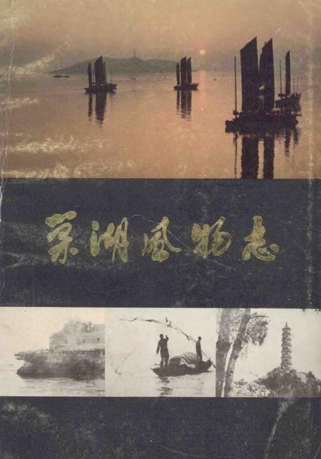 1983版巢湖风物志.pdf电子版_安徽省志
