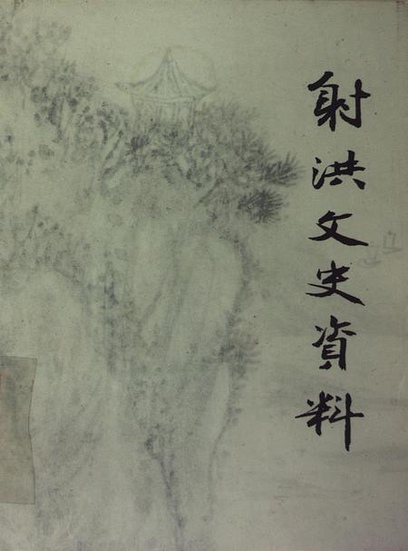 射洪文史资料（第八辑）.pdf电子版_四川省志