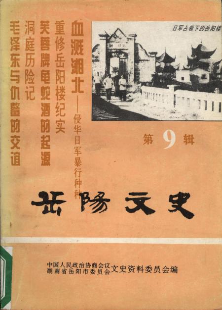 岳阳文史第九辑.pdf电子版_湖南省志