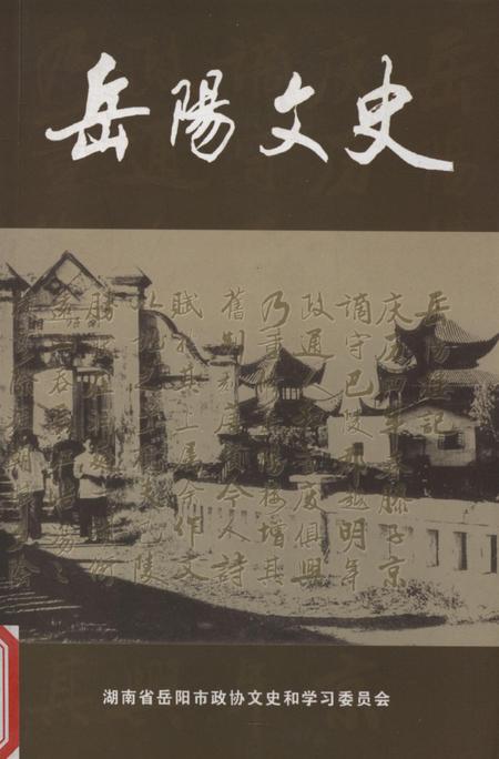 岳阳文史第十六辑.pdf电子版_湖南省志