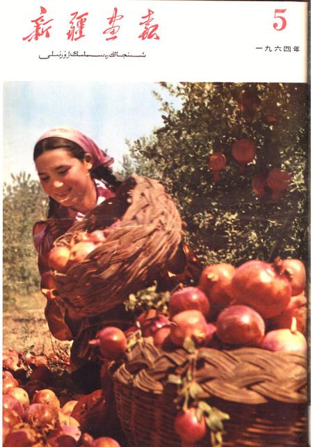 新疆画报1964年第05期.pdf电子版_新疆维吾尔族自治区志