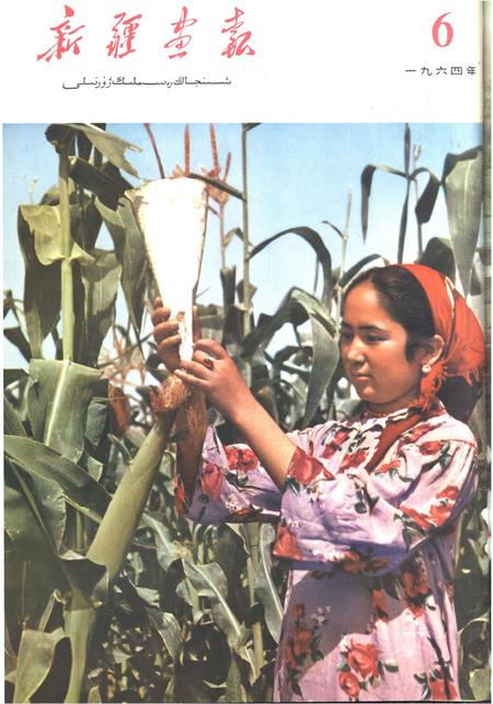 新疆画报1964年第06期.pdf电子版_新疆维吾尔族自治区志