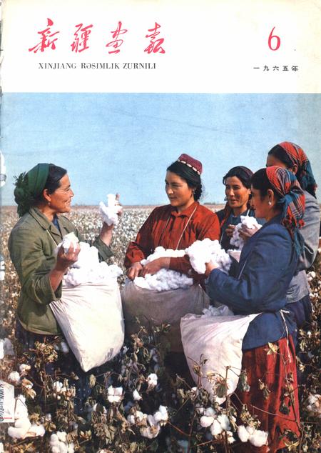 新疆画报1965年第06期.pdf电子版_新疆维吾尔族自治区志