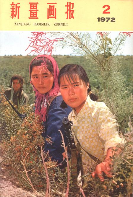 新疆画报1972年第02期.pdf电子版_新疆维吾尔族自治区志