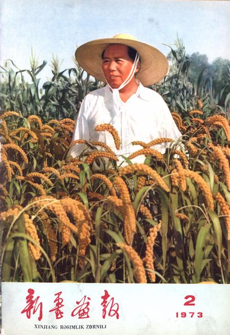 新疆画报1973年第02期.pdf电子版_新疆维吾尔族自治区志