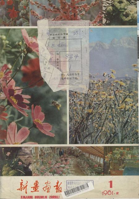 新疆画报1981年第01期.pdf电子版_新疆维吾尔族自治区志