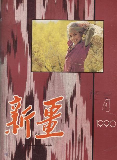 新疆画报1990年第04期.pdf电子版_新疆维吾尔族自治区志