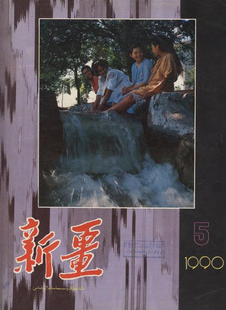新疆画报1990年第05期.pdf电子版_新疆维吾尔族自治区志