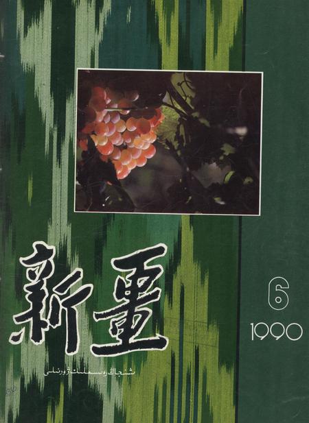 新疆画报1990年第06期.pdf电子版_新疆维吾尔族自治区志