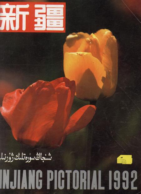 新疆画报1992年第04期.pdf电子版_新疆维吾尔族自治区志