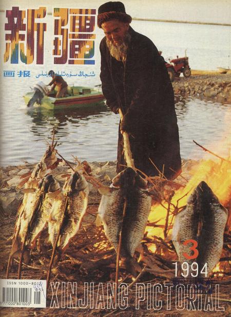 新疆画报1994年第03期.pdf电子版_新疆维吾尔族自治区志