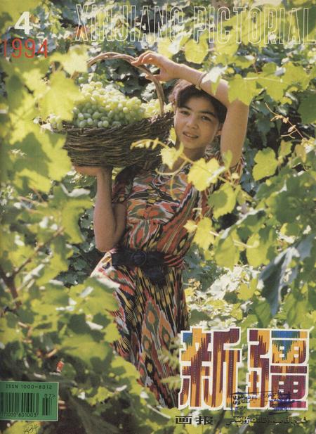 新疆画报1994年第04期.pdf电子版_新疆维吾尔族自治区志